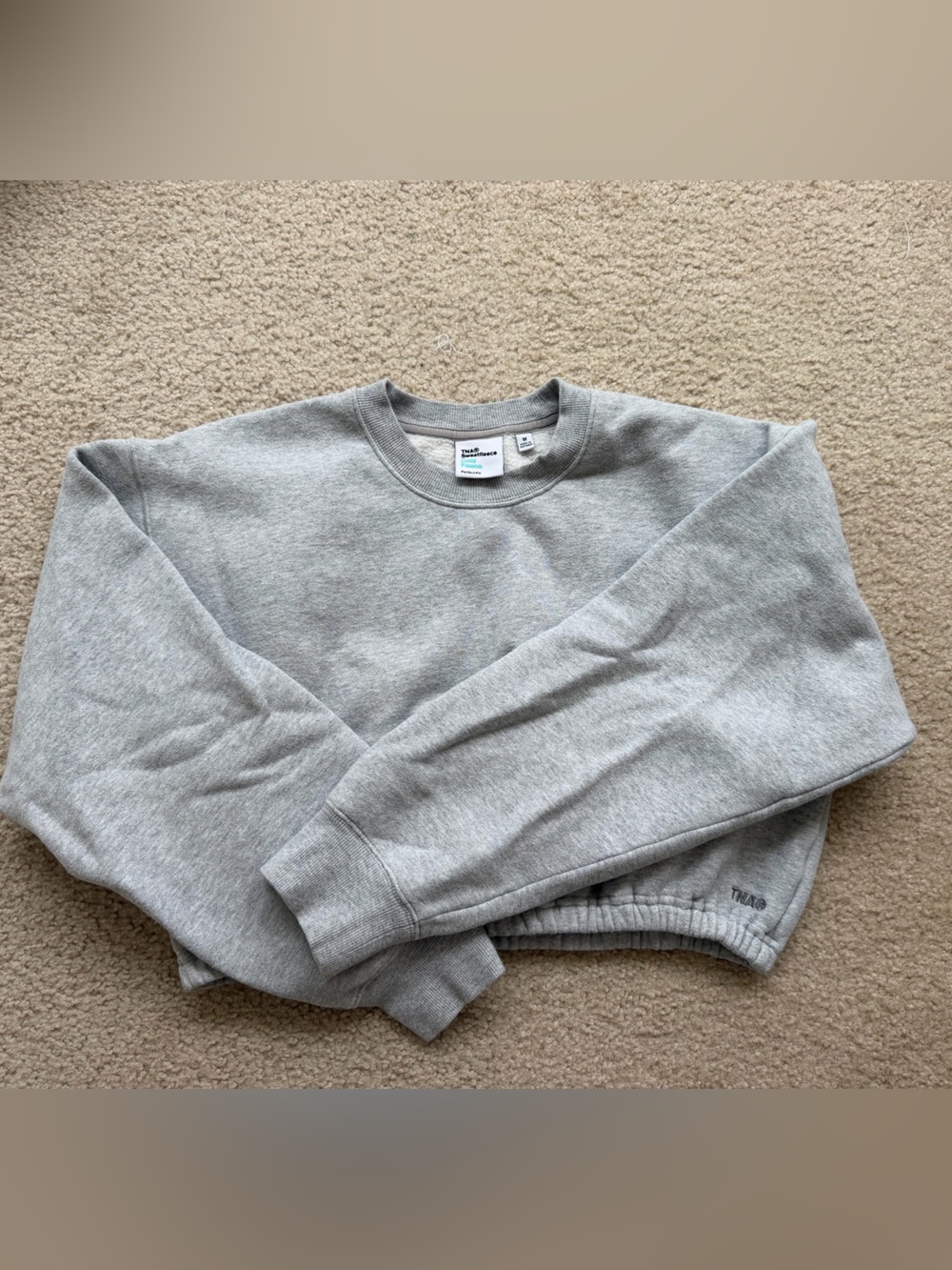 Aritzia TNA Light Gray Sweatfleece Cozy Crop Crewneck